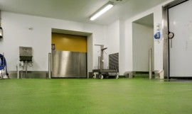 Food and Beverage Facility Flooring Solutions